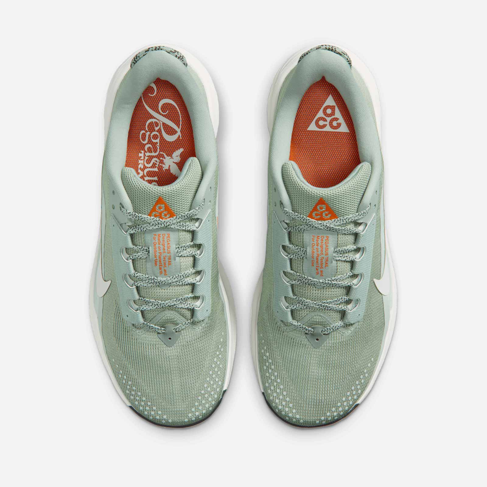 ACG Pegasus Trail HV8116 310