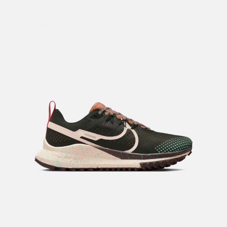 Nike Pegasus Trail 4 DJ6159-300 | 4Elementos