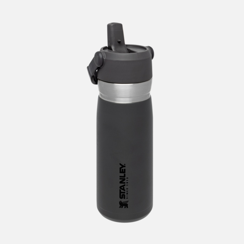 ST1009697008 The Iceflow Flip Straw Water Bottle 065L