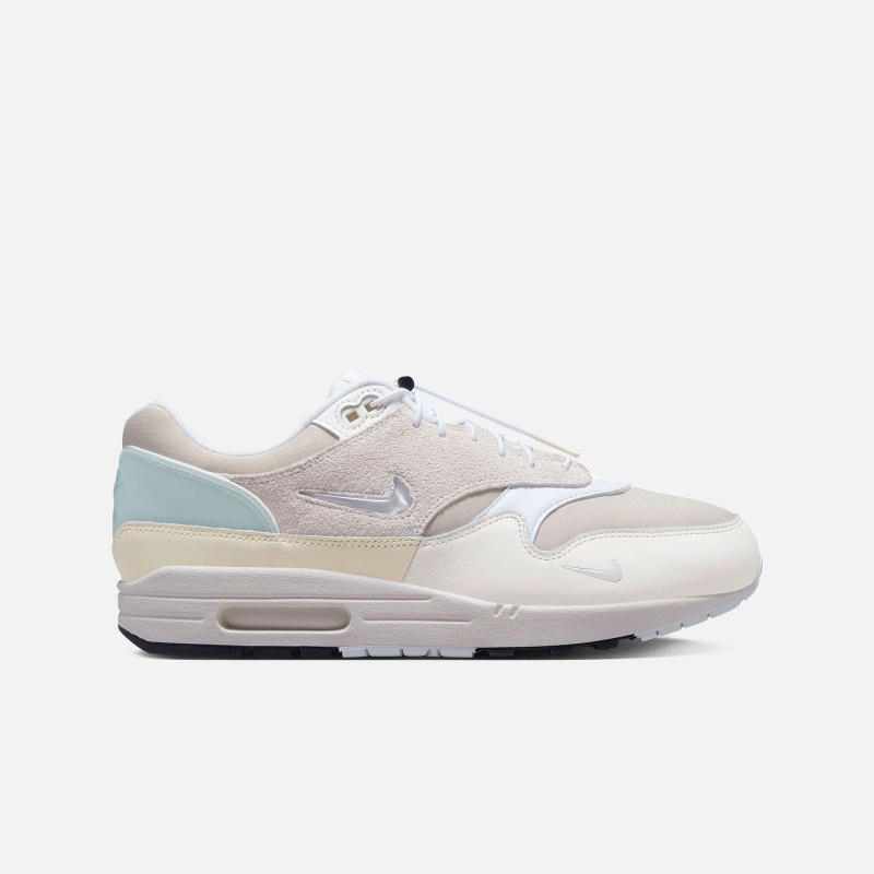 Air Max 1 Premium DZ5317 121