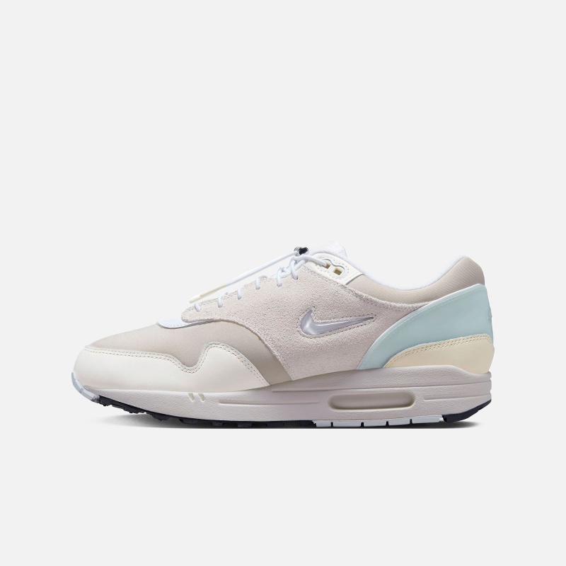 Air Max 1 Premium DZ5317 121