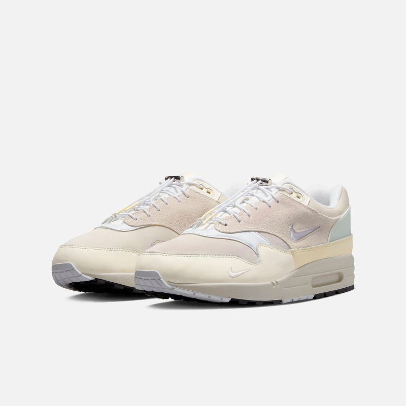 Air Max 1 Premium DZ5317 121