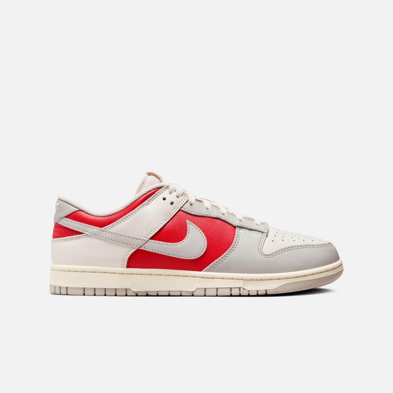 Dunk Low Retro HJ9093 030