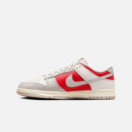 Nike Dunk Low Retro HJ9093-030 | 4Elementos