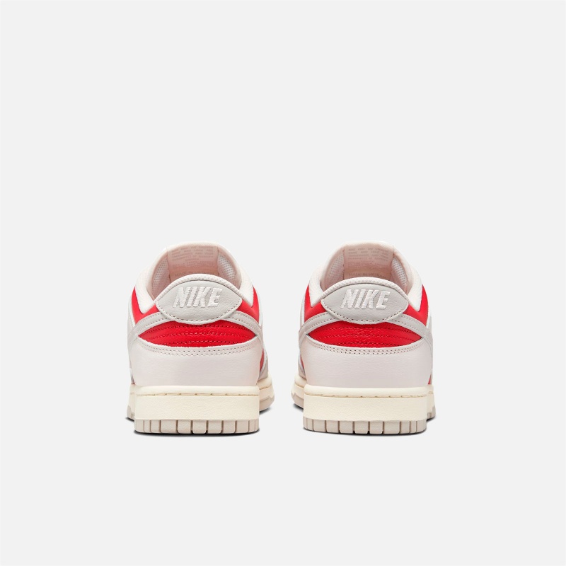 Dunk Low Retro HJ9093 030