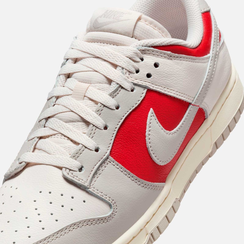 Dunk Low Retro HJ9093 030