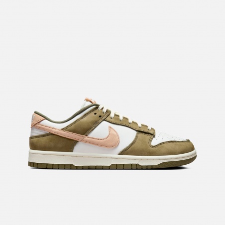 Nike Dunk Low Retro PRM FQ8250-200 | 4Elementos