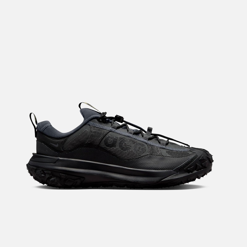 ACG Mountain Fly 2 Low Gore Tex HF6245 001