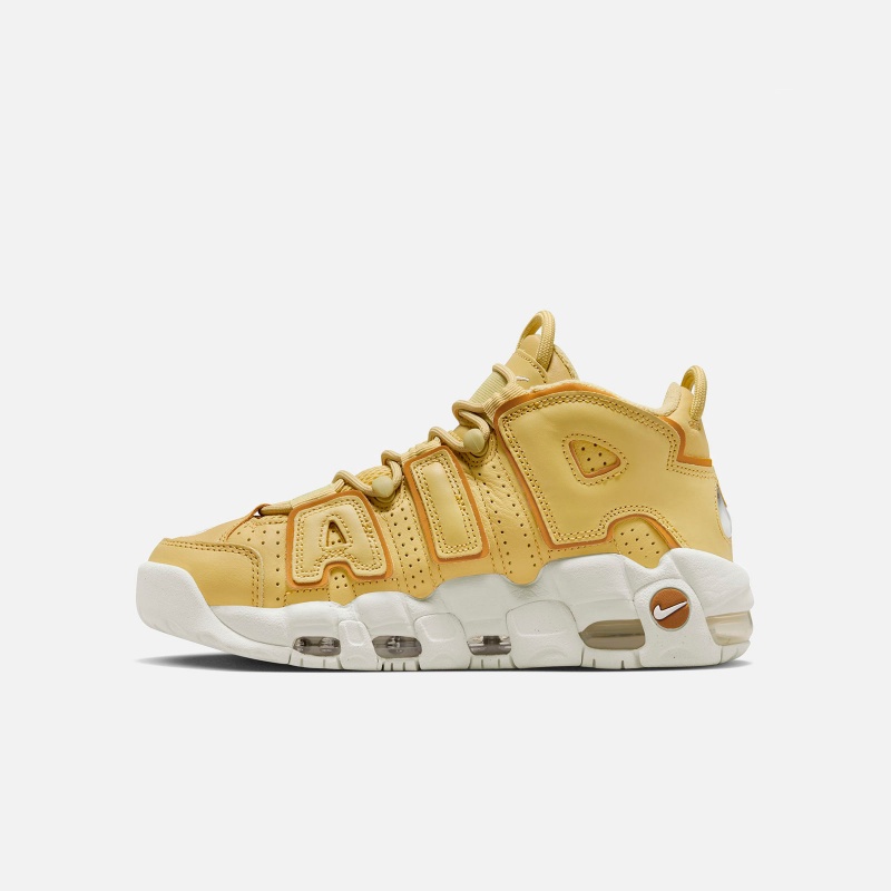 Nike Air More Uptempo DV1137-700