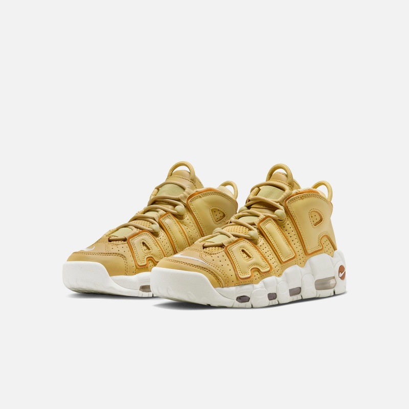 Nike Air More Uptempo DV1137-700