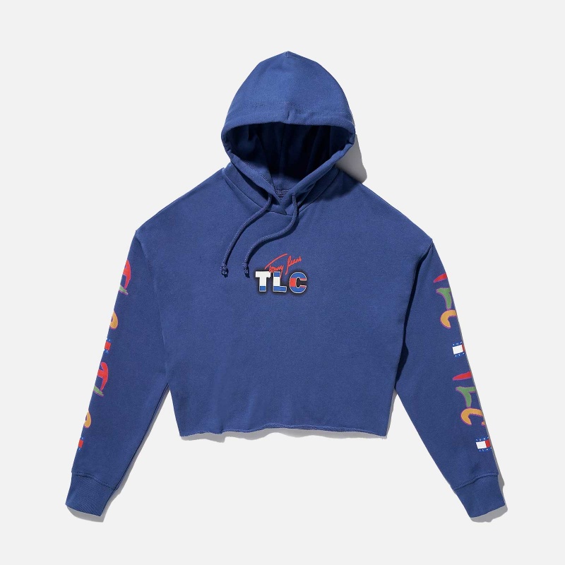 TOMMY JEANS DW0DW13012C6Q Revisited TLC Cropped Hoody