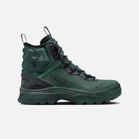 Nike ACG Air Zoom Gaiadome GORE-TEX DD2858-300